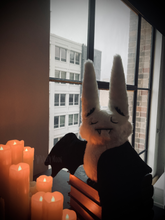 Load image into Gallery viewer, Vlad the Vampire Bat Plushie