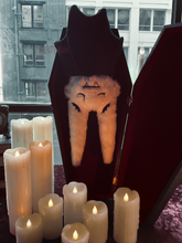 Load image into Gallery viewer, Vlad the Vampire Bat Plushie