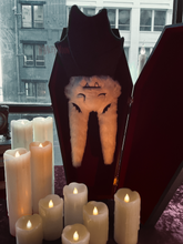 Load image into Gallery viewer, Vlad the Vampire Bat Plushie
